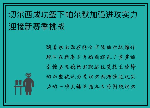切尔西成功签下帕尔默加强进攻实力迎接新赛季挑战