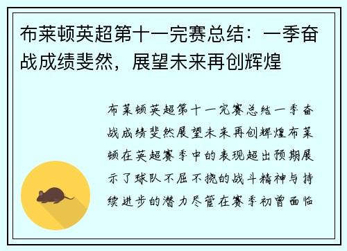 布莱顿英超第十一完赛总结：一季奋战成绩斐然，展望未来再创辉煌